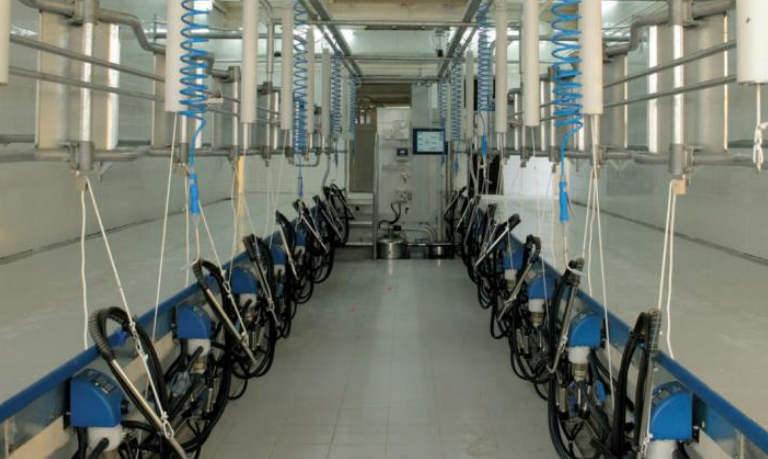 milking setup